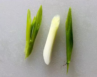 蒜苗怎么切？蒜苗如何切