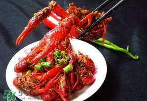 龍蝦什么時(shí)候上市？龍蝦幾月份上市？