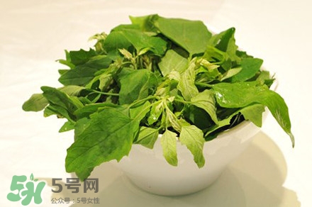 灰灰菜有什么功效？灰灰菜有什么營養(yǎng)價值