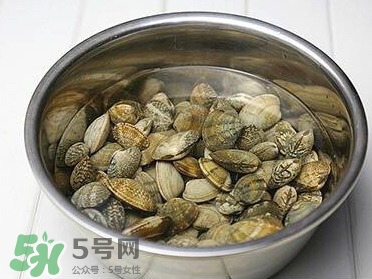 芒果螺孕婦能吃嗎？芒果螺孕婦可以吃嗎