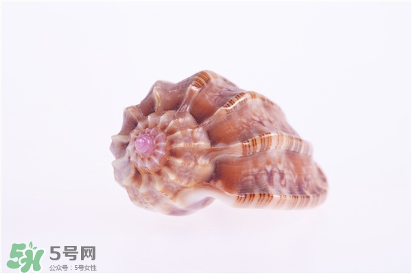 海螺的尾部能吃嗎？海螺的尾巴可以吃嗎