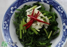 灰灰菜有什么功效？灰灰菜有什么營養(yǎng)價值
