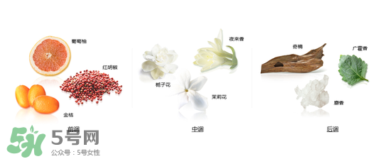 郎朗香水是什么牌子？郎朗香水是什么檔次？