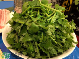 四月份可以種香菜嗎？四月份還能種香萊嗎？