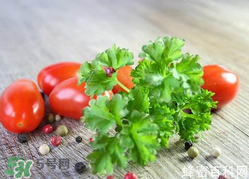 四月份可以種香菜嗎？四月份還能種香萊嗎？
