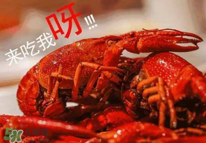 煮熟的小龍蝦隔夜能吃嗎？煮熟的小龍蝦能放多久？