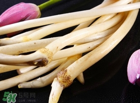 藕帶什么時(shí)候有？藕帶什么時(shí)候上市