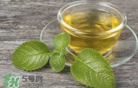 薄荷泡水喝有什么好處？薄荷葉泡水的功效