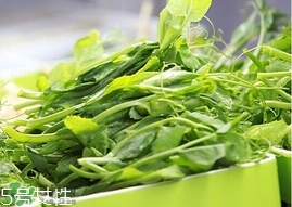 豌豆苗怎么做好吃？豌豆苗的做法