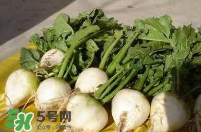 芥菜疙瘩孕婦能吃嗎？孕婦可以吃芥菜疙瘩嗎