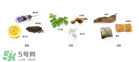 郎朗香水是什么牌子？郎朗香水是什么檔次？