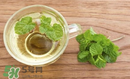 薄荷葉能生吃嗎？薄荷葉可以生吃嗎