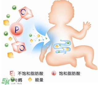 kabrita佳貝艾特羊奶粉怎么樣？kabrita佳貝艾特羊奶粉好不好？