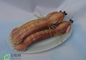 皮皮蝦死了還能吃嗎？皮皮蝦死了多久還能吃？