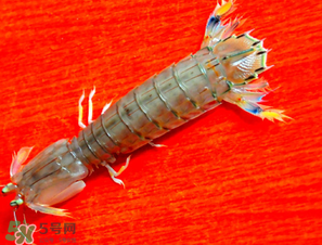 皮皮蝦煮多長(zhǎng)時(shí)間？水煮皮皮蝦多長(zhǎng)時(shí)間？