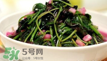 莧菜怎么吃？莧菜怎么炒