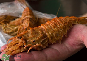 蝦爬子不能和什么一起吃？吃完蝦爬子不能吃什么？
