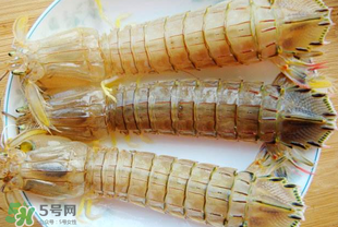 蝦爬子多少錢一斤？2017蝦爬子價格