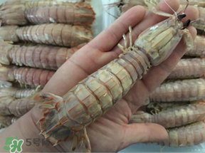 蝦爬子是蒸還是煮？蝦爬子蒸好還是煮好？