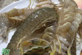 皮皮蝦可以放冰箱嗎？皮皮蝦能放冰箱保存嗎？