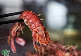 熟皮皮蝦隔夜還能吃嗎？煮熟的皮皮蝦隔夜能吃嗎？