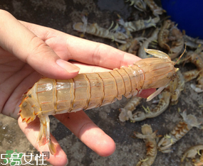 ?皮皮蝦發(fā)綠能吃嗎？?皮皮蝦變綠了還能吃嗎？