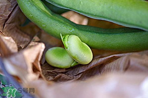 蠶豆可以放冰箱嗎？新鮮蠶豆可以放冰箱嗎？