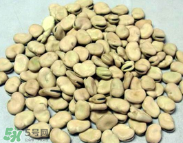 蠶豆長蟲還能吃嗎？蠶豆怎么保存不長蟲？