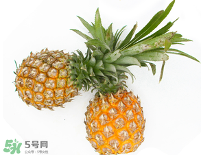 皮皮蝦和菠蘿能一起吃嗎？吃完皮皮蝦能吃菠蘿嗎？