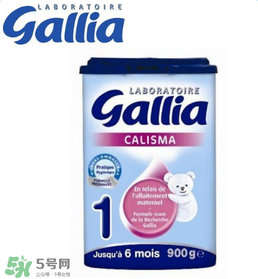 gallia佳利雅奶粉怎么沖？gallia佳利雅奶粉沖調(diào)方法？