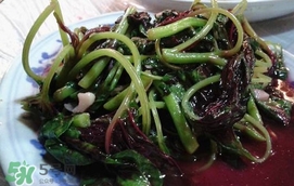 汗菜是發(fā)物嗎？汗菜是不是發(fā)物嗎