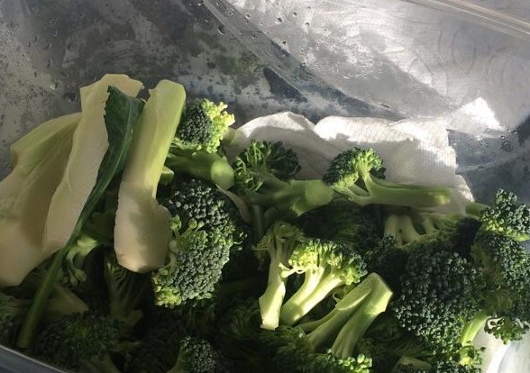 西蘭花如何保存？西蘭花怎么保存不變黃