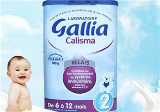gallia佳利雅奶粉怎么樣？gallia佳利雅奶粉好嗎？