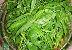 莧菜怎么吃？莧菜怎么炒