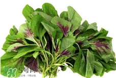 莧菜與什么相克？莧菜與什么食物相克