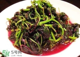 汗菜是發(fā)物嗎？汗菜是不是發(fā)物嗎