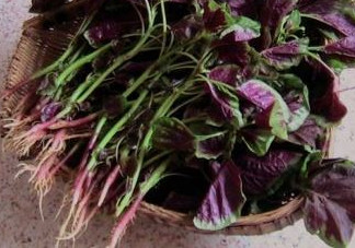 汗菜是發(fā)物嗎？汗菜是不是發(fā)物嗎