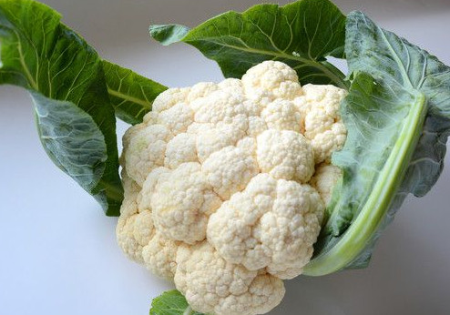 西蘭花是花菜嗎？西蘭花是菜花嗎