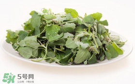 胃酸過多吃灰灰菜有好處嗎？胃酸過多能吃灰灰菜嗎