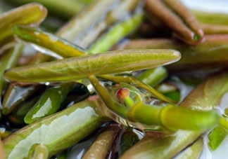 莼菜怎么做？莼菜怎么做好吃？