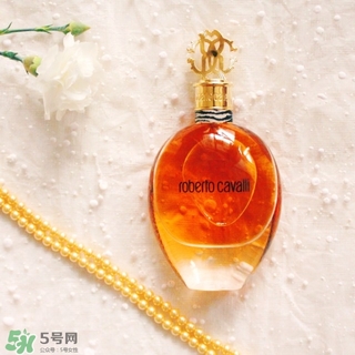 roberto cavalli是什么牌子？羅伯托卡沃利是幾線什么檔次？