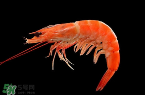 基圍蝦不能和什么一起吃？基圍蝦和什么不能一起吃？
