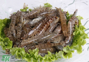基圍蝦不能和什么一起吃？基圍蝦和什么不能一起吃？