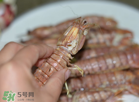 皮皮蝦中間硬的能吃嗎？皮皮蝦中間硬的是什么？