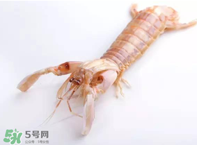 皮皮蝦什么時候有籽？皮皮蝦幾月份有籽？