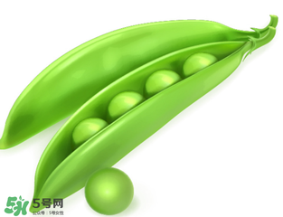 荷蘭豆能生吃嗎？荷蘭豆生的可以吃嗎？