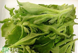 ?冰菜多少錢一斤？? 今年冰菜多少錢一斤？