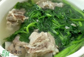 西洋菜是什么菜？西洋菜是什么樣的
