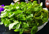西洋菜怎么摘洗？西洋菜怎么洗才干凈