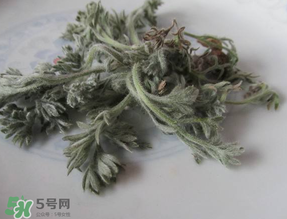白蒿能治黃疸嗎？白蒿水可以治黃疸嗎？